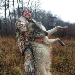 Meet your Posher, Tony